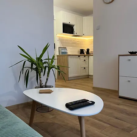 Apartament Rubinowy Torun Exterior photo