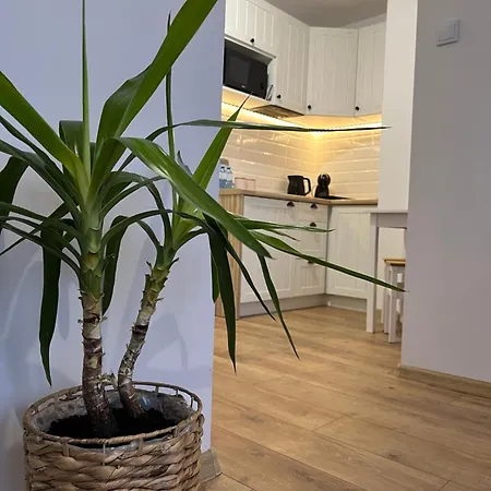 Apartament Rubinowy Torun Exterior photo