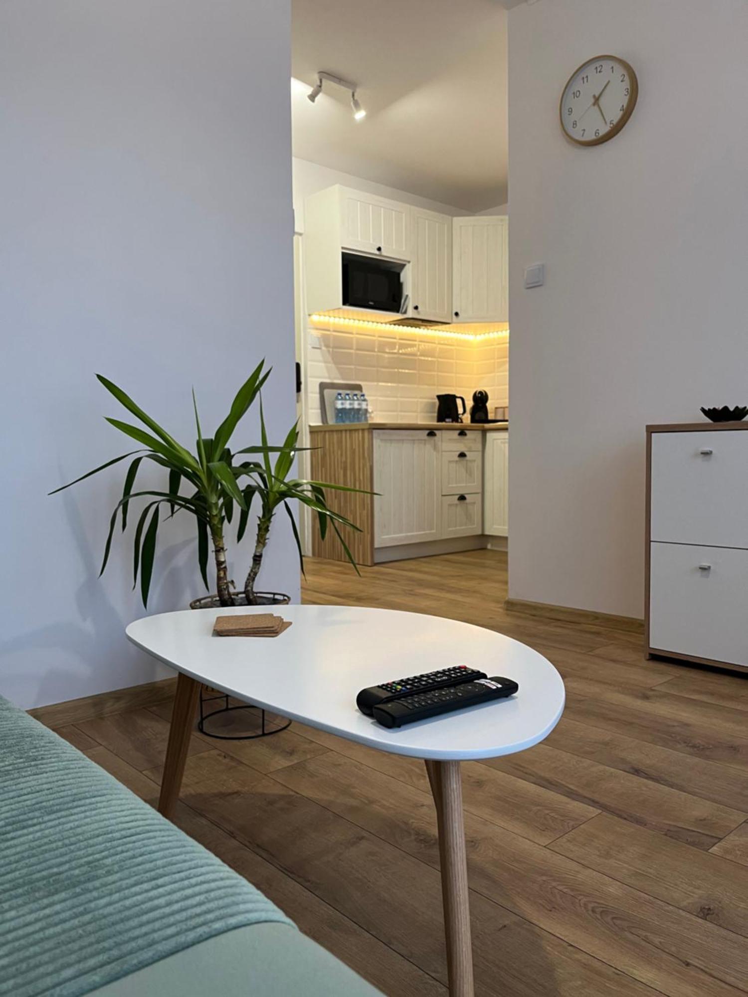 Apartment Rubinowy *