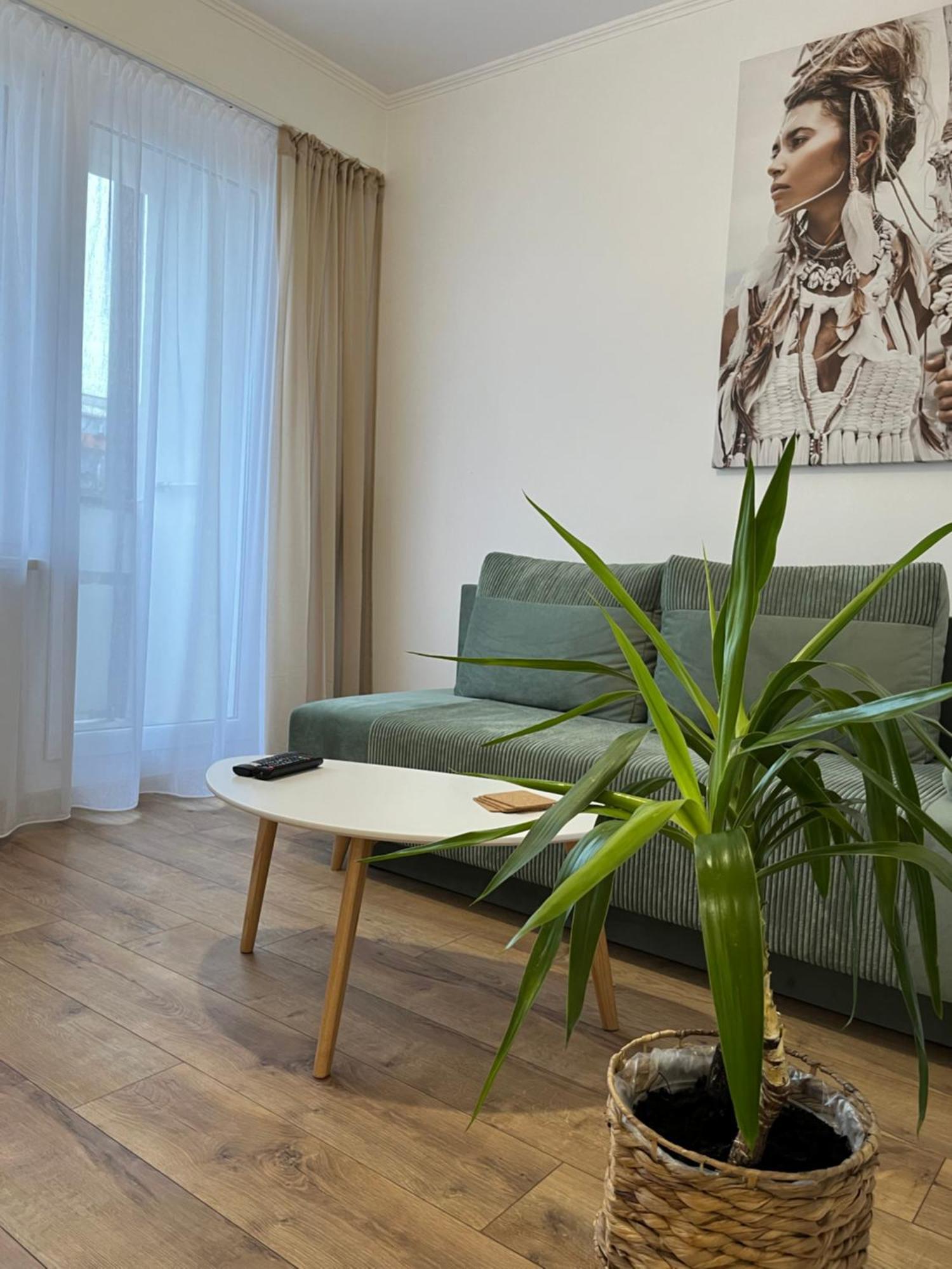 Apartment Rubinowy *