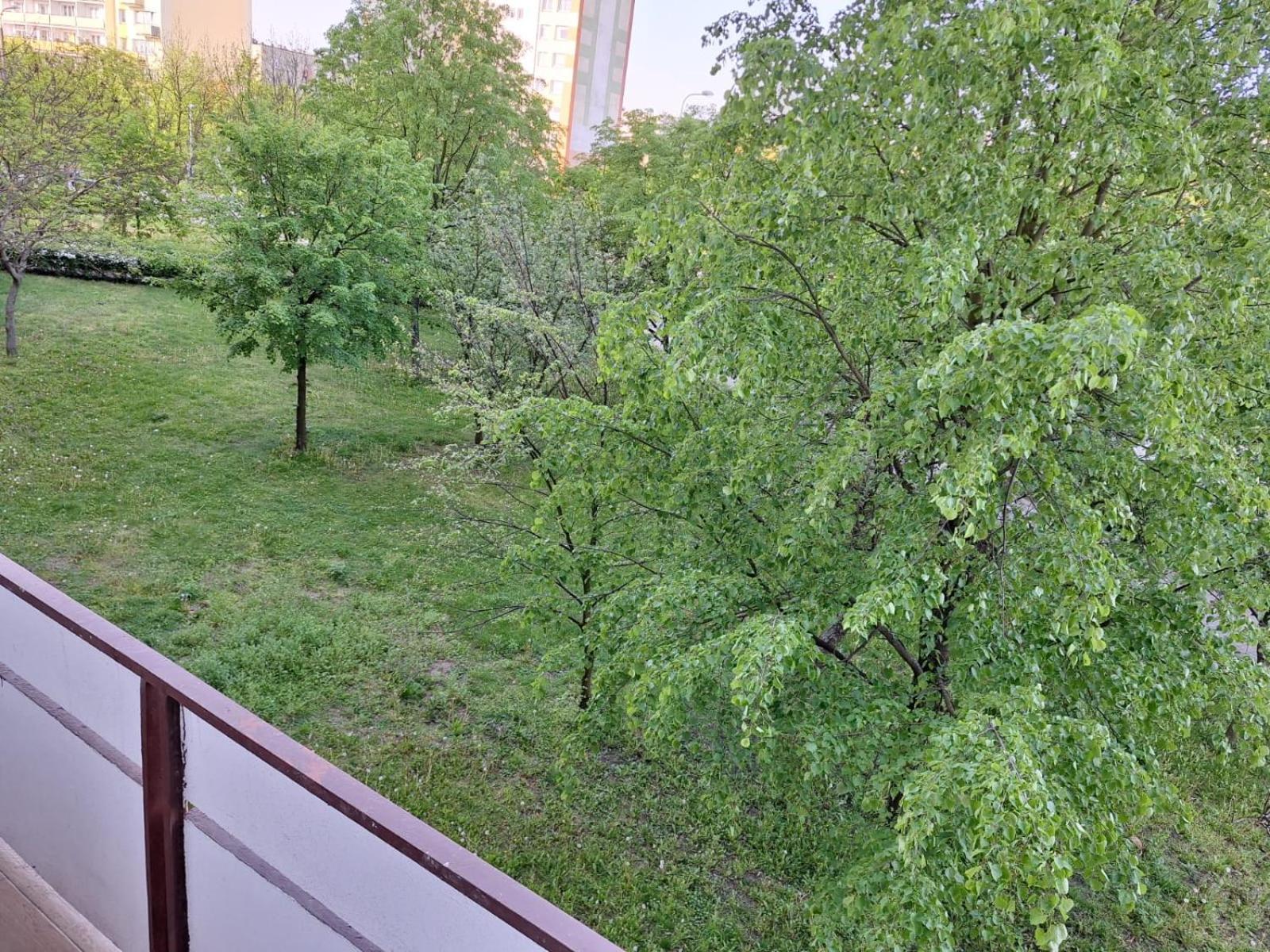 Apartment Rubinowy *